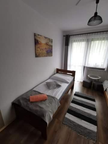 Willa Mery Zakopane Dış mekan fotoğraf